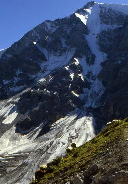 3-Rifugio Tabaretta,Ortles,agosto 1985.jpg